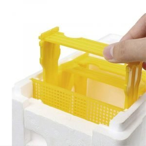 Foam-Bee-Mating-Nuc-Hive-4