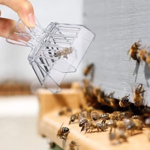 Plastic-Queen-Bee-Cage-Clips-8