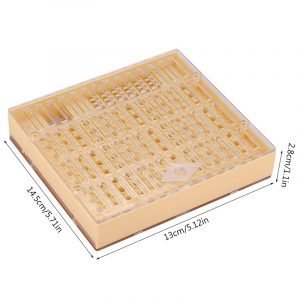 Queen-Rearing-Cell-Box4