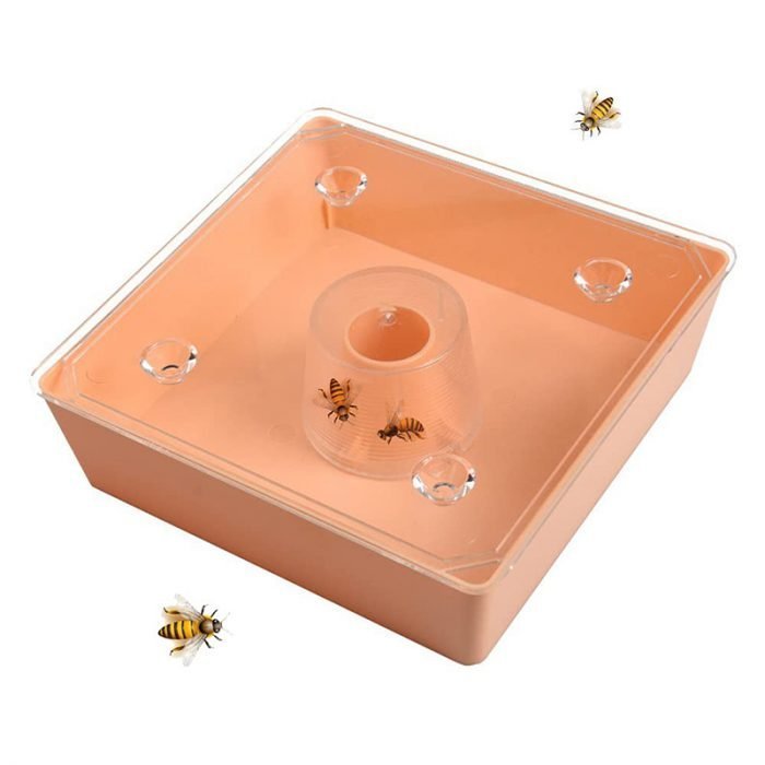 European-Style-Square-Bee-Feeder-2