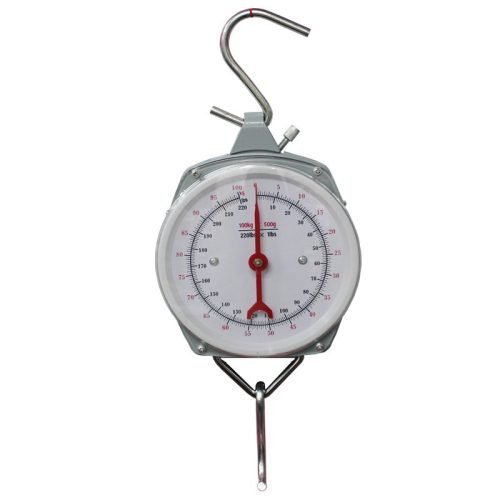 Accurate Hanging Scale (1)